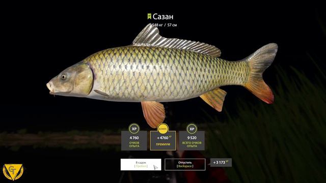 Проверяем Китайскую Точку . Река Ахтуба. РР4 смотреть онлайн