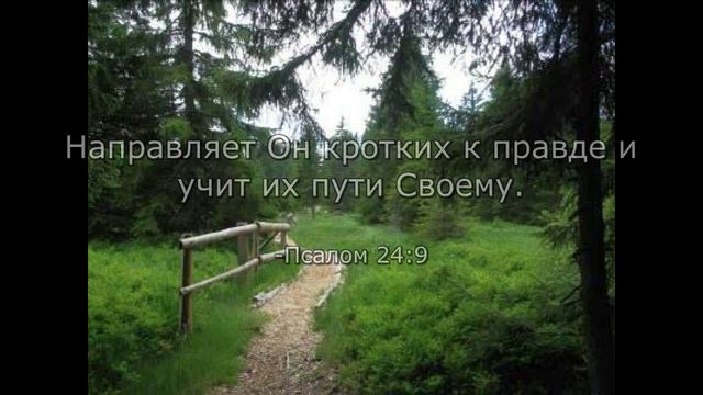 Святая Библия - Книга Книг смотреть онлайн