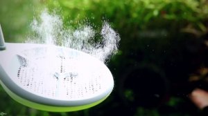 Расбора бригитта: сочно-красный рыбсик