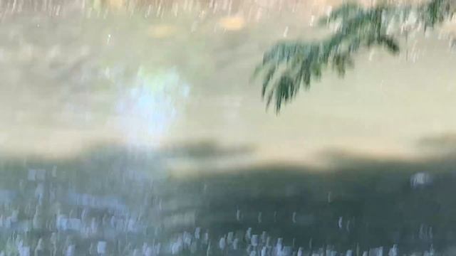 Куба. Июнь 2021. Гавана. Шагающий лес смотреть онлайн