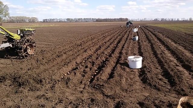 Мотоблок посадка картошки12.04.2017. смотреть онлайн