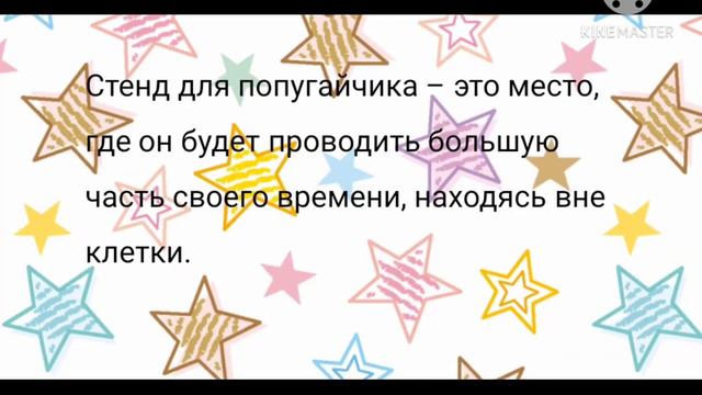 Что должно быть в клетке у Карелл?💫☁️ смотреть онлайн