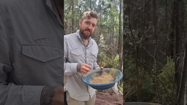 The Ultimate Gold Monster 1000 Hack! смотреть онлайн