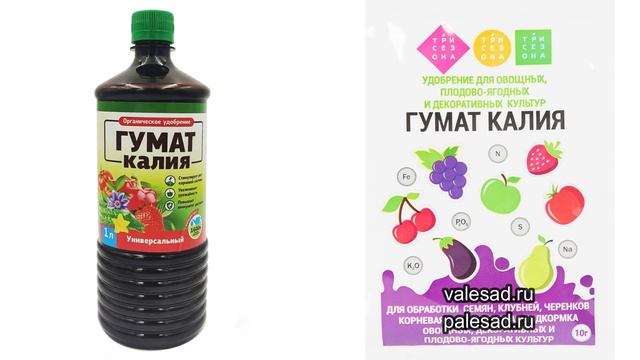 ВСЕГО ОДНО УДОБРЕНИЕ ПОД СМОРОДИНУ и КРЫЖОВНИК ПОСЛЕ ЦВЕТЕНИЯ! Ягода будет крупная и вкусная смотреть онлайн