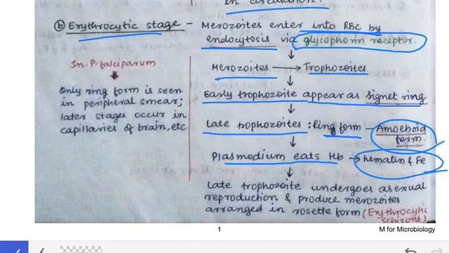 Malaria | Part 1| Causative agents of malaria | Life cycle of parasite in human | смотреть онлайн