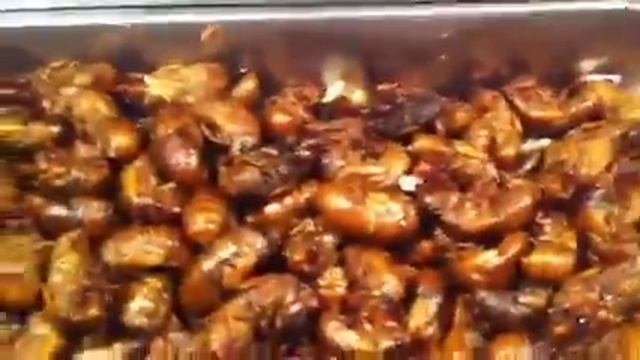 Ночной рынок ! г.Урумчи,Китай смотреть онлайн