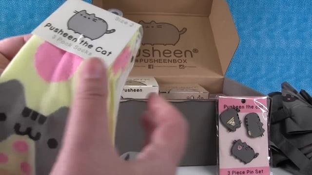 Spring Pusheen Box Unboxing Exclusive Products | PSToyReviews