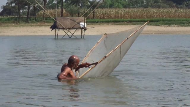 Really Amazing Push Net Fishing in Rainy Day Best Fish Catch by Net Awsome Net Fishing смотреть онлайн