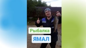 Рыбалка на севере. Как поймать ямальского щокура. Добирались на лодке до избы по реке Надым. 18+