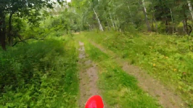 Проверка мотоцикла после сборки. Поездка на Ветлан. Тесты рекордера Zoom F1-LP смотреть онлайн