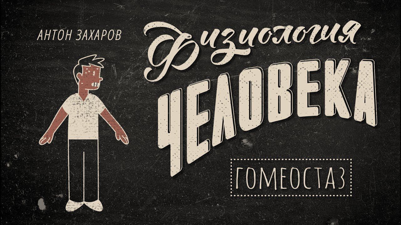 1. Гомеостаз. Физиология человека - 8 класс смотреть онлайн