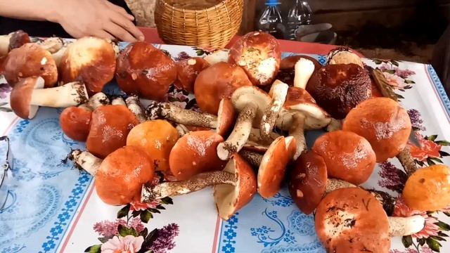 Как правильно сушить белые грибы смотреть онлайн