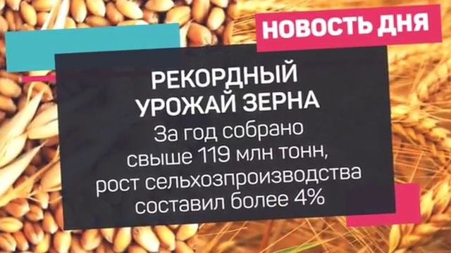 Рекордный урожай зерна смотреть онлайн