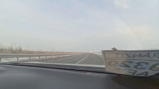 Из Алматы в Москву на Subaru BRZ с 2 огромными Алабаями смотреть онлайн