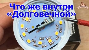 Как устроена долговечная светодиодная лампа