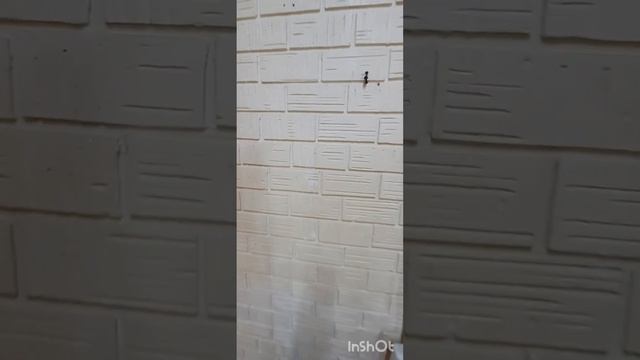 бюджетный ремонт в частном доме смотреть онлайн