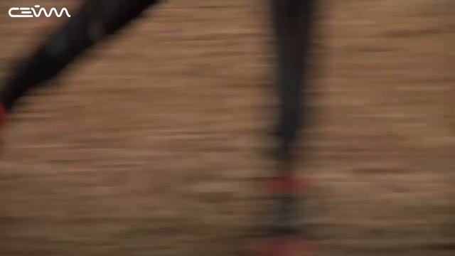 В Фатежском районе выращивают лучших спортивных лошадей в стране смотреть онлайн