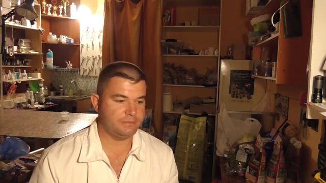 Щенок написал на кровать хозяина причины,действия смотреть онлайн