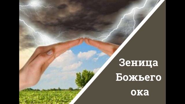79 Зеница Божьего ока смотреть онлайн