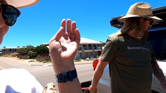THE TRUTH ABOUT TRAVELING WITH DOGS? - Caravanning Australia E47 смотреть онлайн