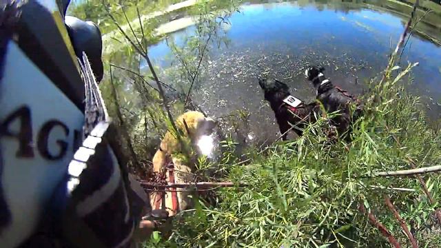 Bikejoring смотреть онлайн