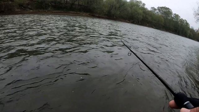 Ловля симы на Сахалине. Пошла родимая!