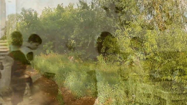 д.Буранное .Часть №1 Курганская область Петуховский округ. смотреть онлайн