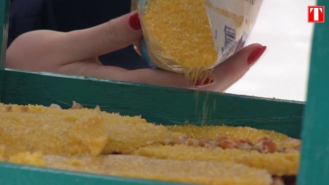 Студенты и преподаватели университета изготавливают кормушки смотреть онлайн