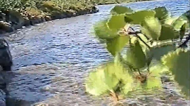 +Западная Лица. Плеск воды и флейта смотреть онлайн