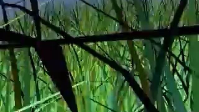 Магазин Климатическая техника смотреть онлайн