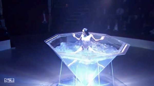 Circus Gymnasts Aerialist Acrobats on tne horses Illusionist