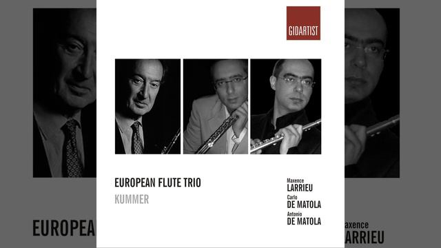 Flute Trio in C Major, Op. 53: III. Allegro vivace смотреть онлайн