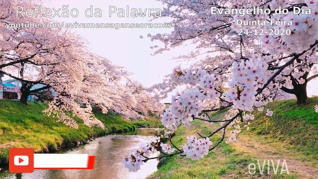 EVANGELHO DO DIA 24/12/2020 Narrado e Comentado - LITURGIA DIÁRIA - HOMILIA DIARIA HOJE смотреть онлайн