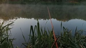 Бешеный клёв плотвы на полудонку