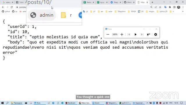 Zoom Meeting Python Four смотреть онлайн