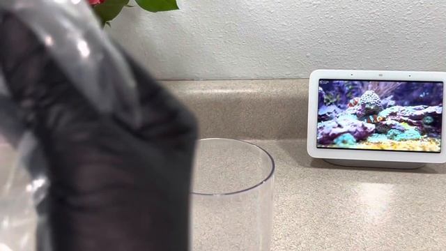 Автомобильные Приключения