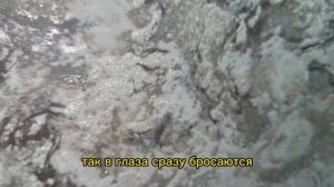 Бюджетные ОБОИ ДЛЯ ДОМА 🏠😍 ВИНИЛОВЫЕ обои 🌿