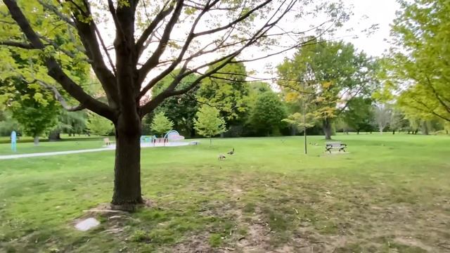 Exploring park In canada | yes it is beautiful | London Ontario | Thames river International studen смотреть онлайн