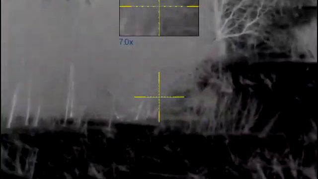 Везучий лис 2 смотреть онлайн