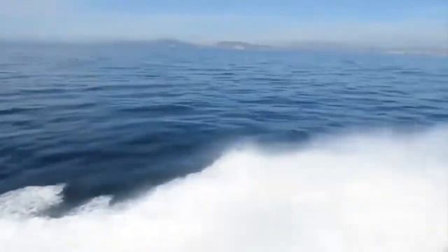 Самые популярные модели яхт (25-30 метров) смотреть онлайн