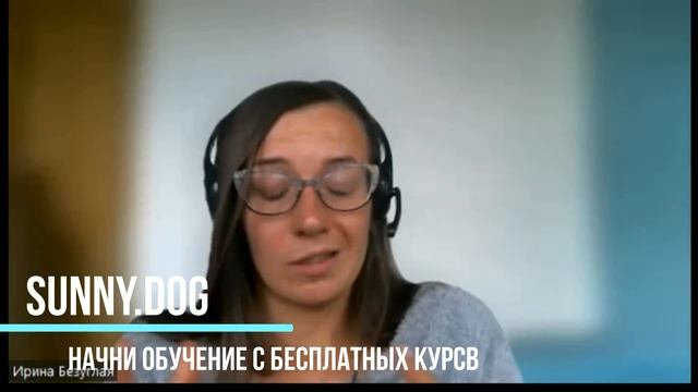 Хендлинг лабрадора. Как подготовить лабрадора к выставке. смотреть онлайн