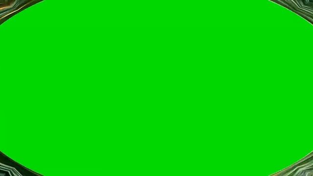 Ноготки. Календула.