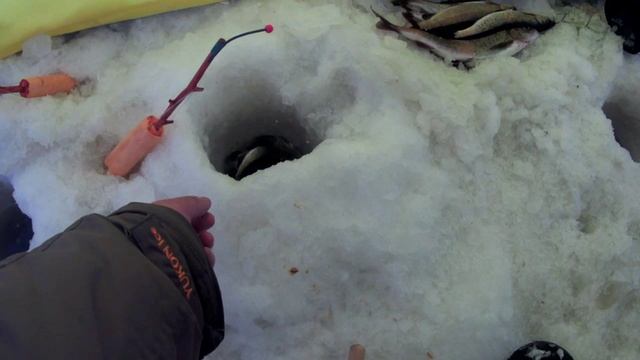 Поездка в Бурятию на Байкал и зимняя рыбалка на хариуса 1 часть смотреть онлайн