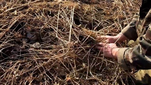 Что-же получилось после прикатывания сидератов в зиму ??? смотреть онлайн