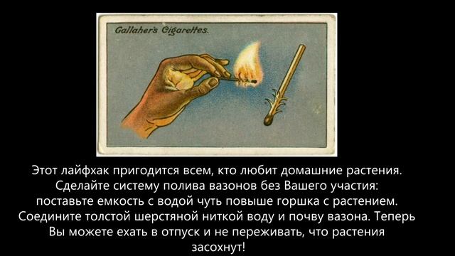 Совет: Как зажечь спичку на ветру 7/9. Tip: How to light a match in the wind. смотреть онлайн