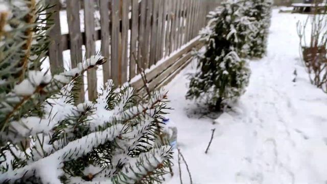 Утренняя прогулка босиком по снегу -2°С, 06.02.2022 смотреть онлайн