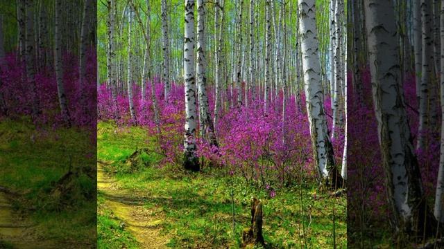 Slideshow__294_20230120_CQ4lEE.mp4