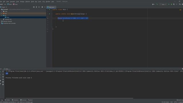 Java programming - primitive data types смотреть онлайн