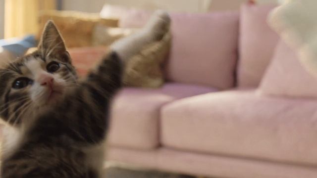 Реклама Cheetos смотреть онлайн