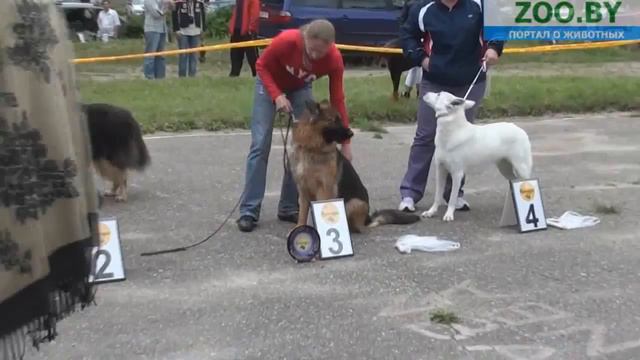 1 группа смотреть онлайн